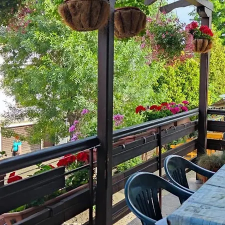 Juja Nesebar